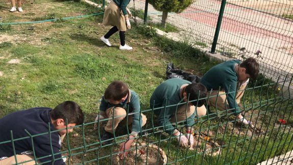 Karaburun Anadolu İmam Hatip Lisesi Ağaçlandırma Çalışması
